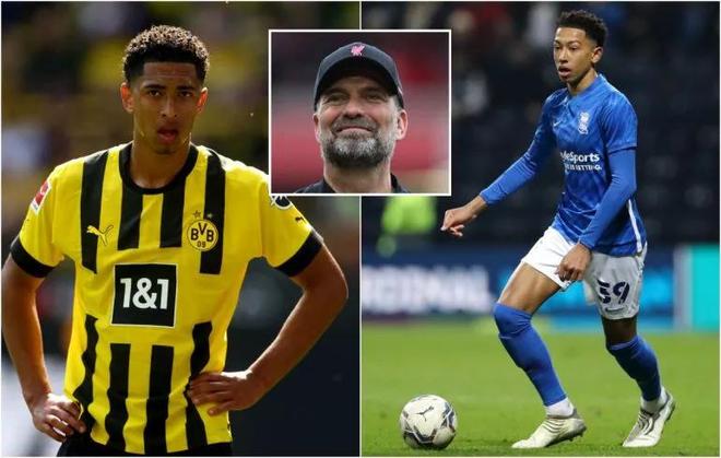 命中接应三 命中接应三