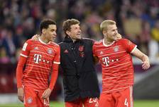 体能底座 体能底座