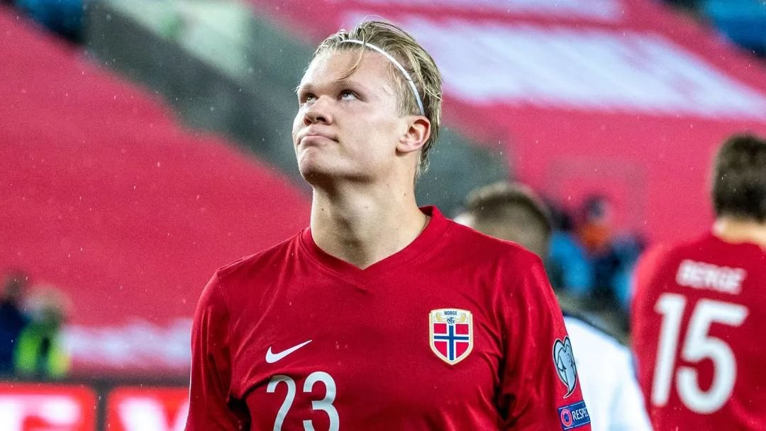 案例分析 案例分析