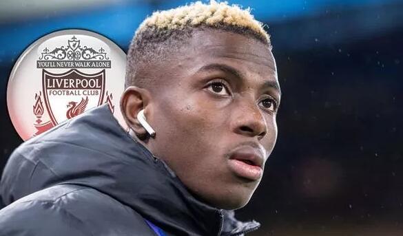 欧冠可期 欧冠可期